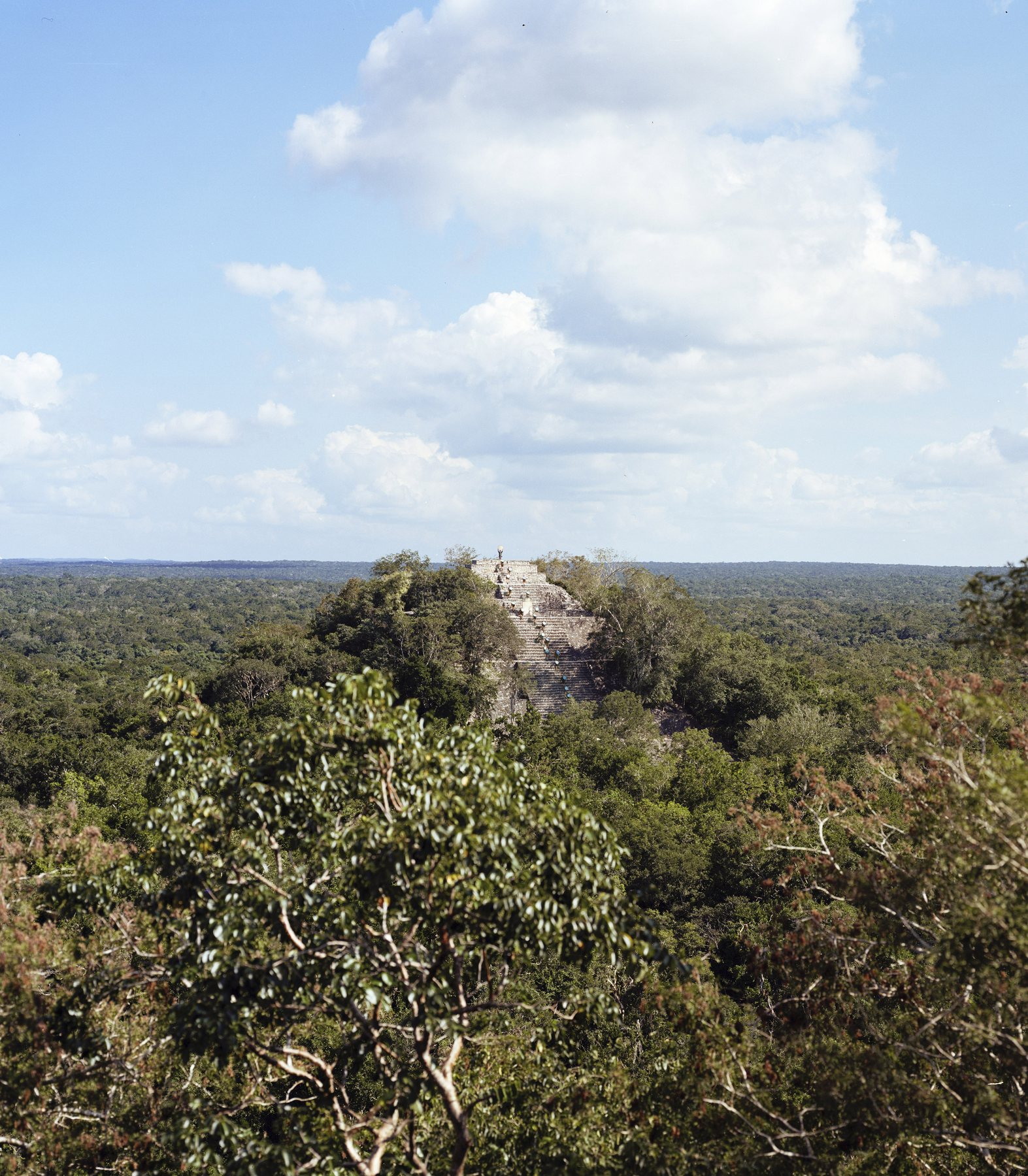The Calakmul pyramid rising above the jungle canopy