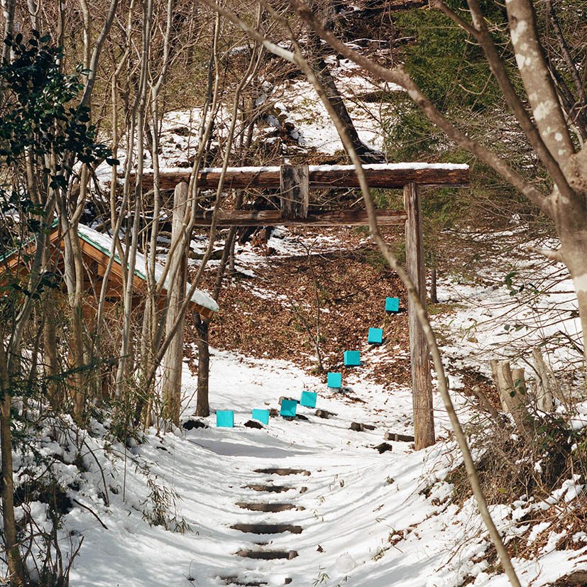Wooden torii gate deep in the snowy forest, marker line leading up the steps, Togatta