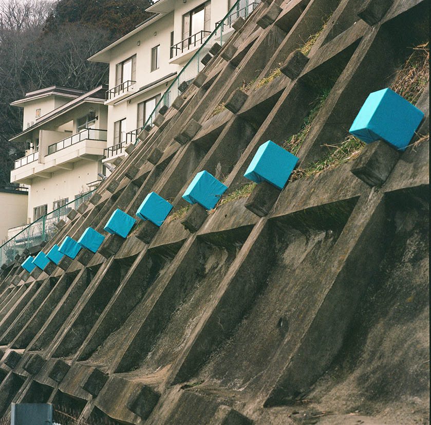 Marker line climbing a concrete retaining wall, Togatta